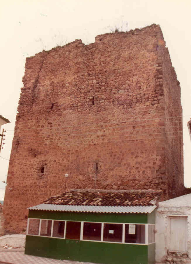 Albánchez, Castillo de Asociación española de amigos de los Castillos